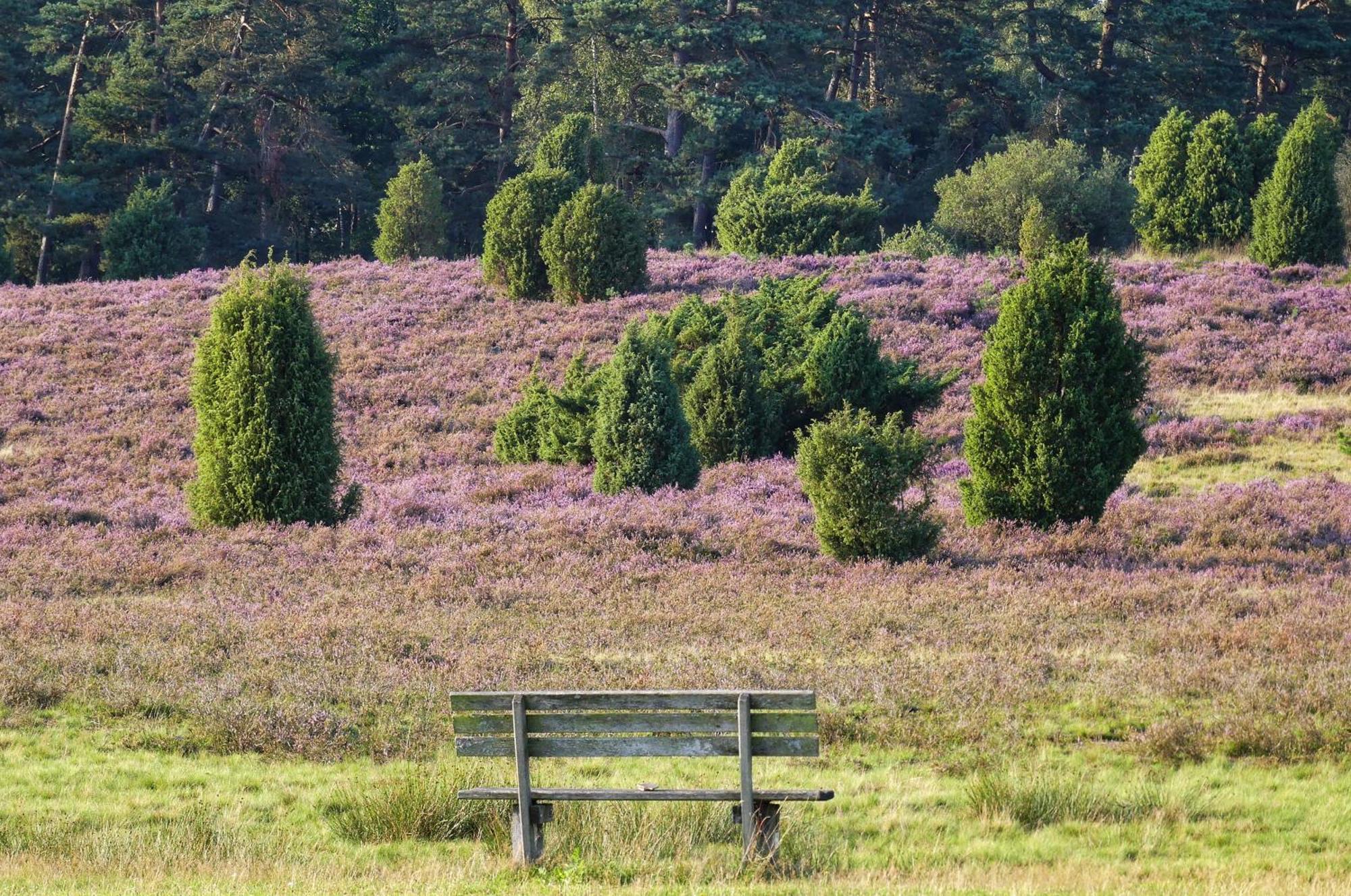 Theeshof Villa Soltau Eksteriør bilde